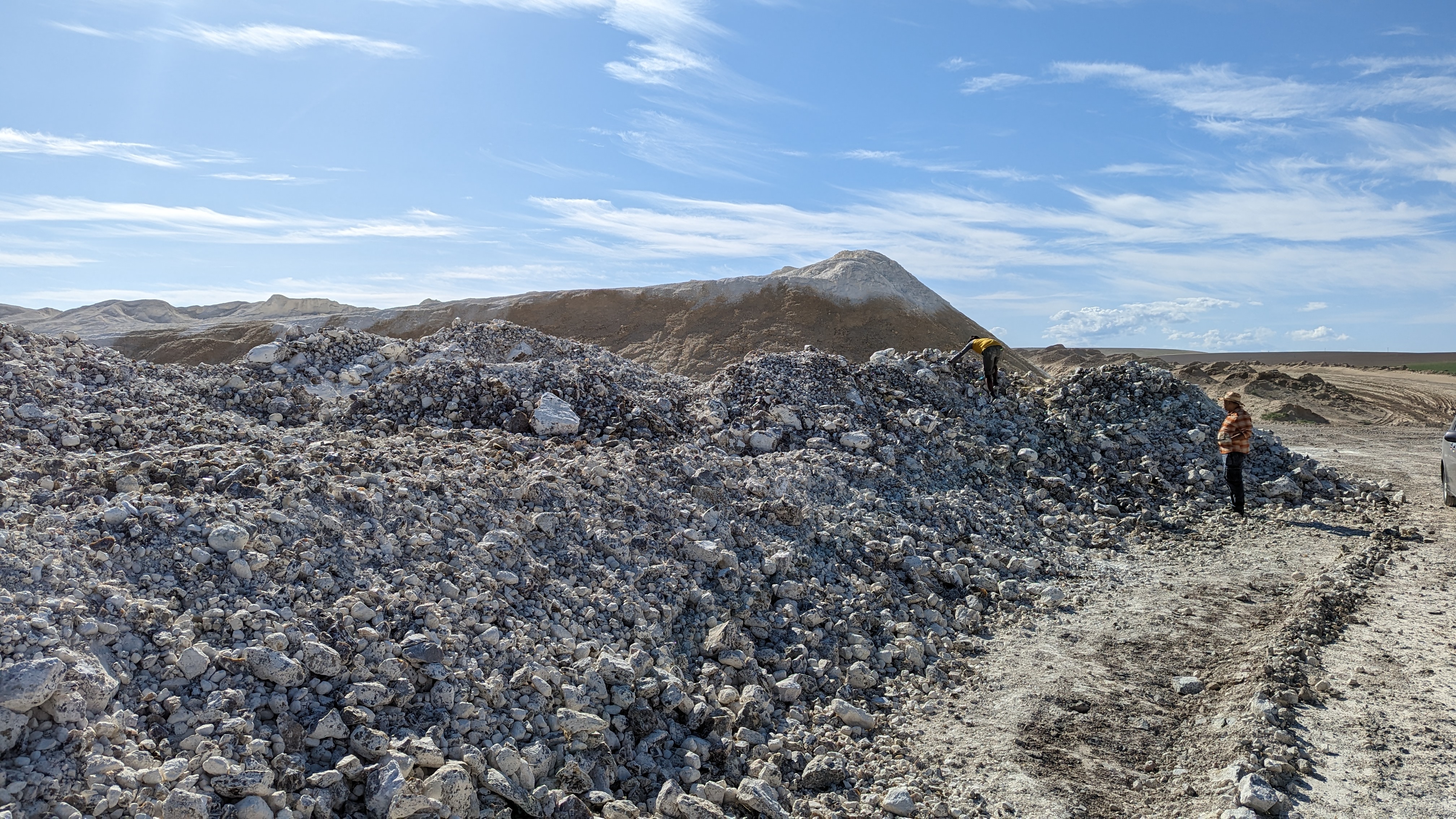 Opal scrounging at the diatom mines